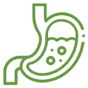 Stomach Health